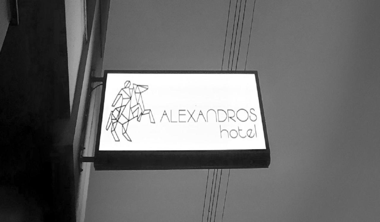 Отель Alexandros Яница Экстерьер фото